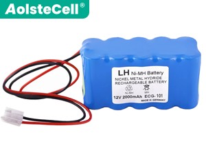 BIOCARE ECG-100電池