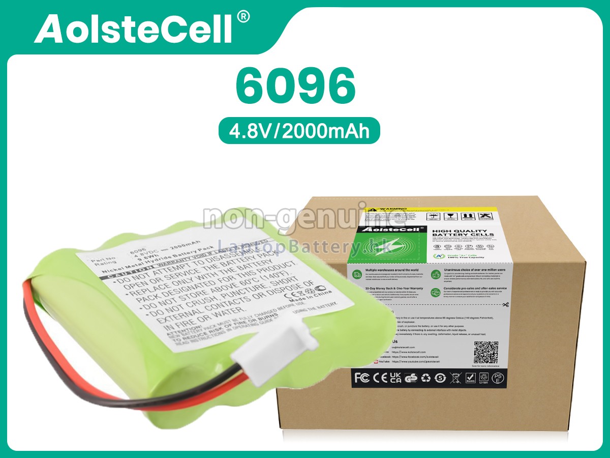 Delfi 6096代用電池
