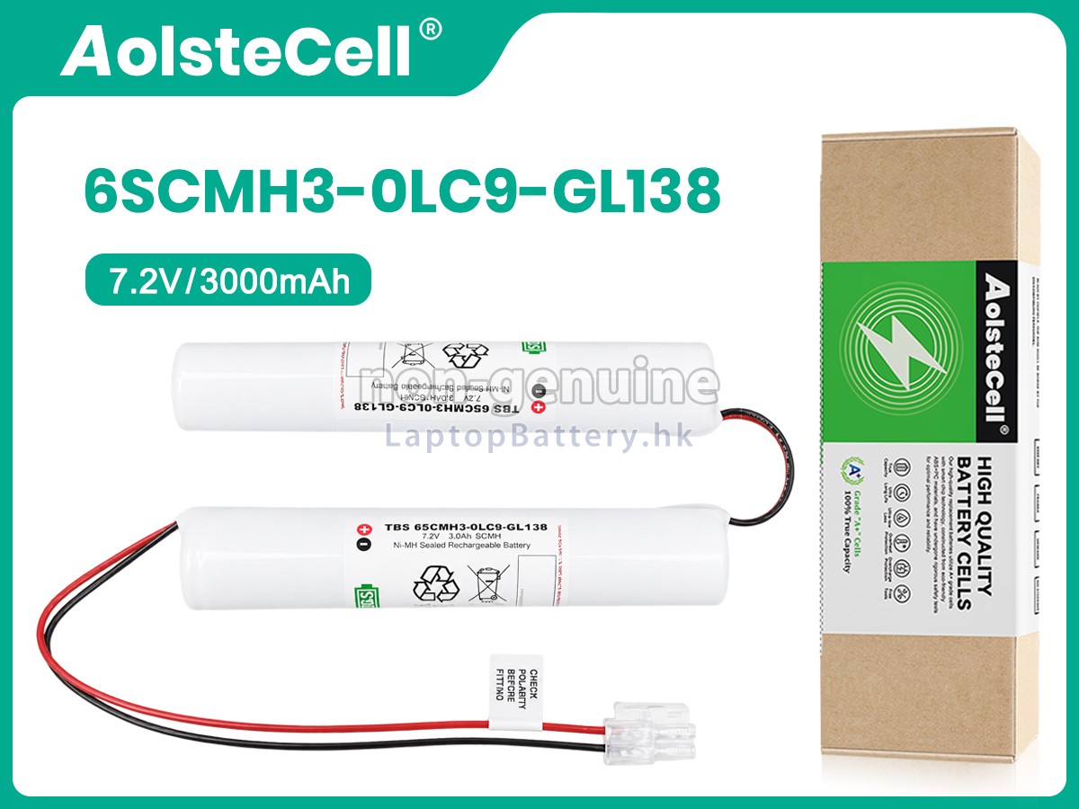 Philips 6SCMH3-0LC9-GL138代用電池