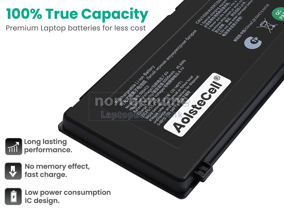 Thunderobot 5954C2代用電池