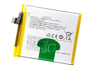 VIVO B-G1電池