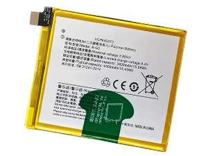 VIVO B-G3電池